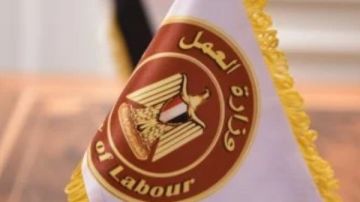 5188 فرصة عمل.. وزارة العمل تطلق نشرة التوظيف برواتب مجزية وتأمين شامل