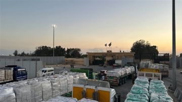 الهلال الأحمر المصري يدفع بـ86 ألف سلة غذائية ومساعدات عبر زاد العزة 151 الهلال الأحمر المصري يدفع بـ86 ألف سلة غذائية ومساعدات عبر زاد العزة 151