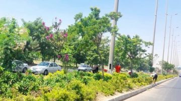 تتراوح بين 5 و20 جنيها.. ياسر أسعد: الحدائق استعدت بشكل مبكر لاستقبال المواطنين