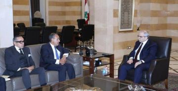 وزير الخارجية المصري: 1000 طن مساعدات عاجلة للشعب اللبناني بتوجيهات الرئيس