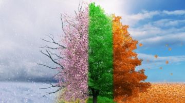 الأزهر للفتوى: تقلب فصول العام بين حر وبرد آيات كونية شاهدة على قدرة الله وحكمته الأزهر للفتوى: تقلب فصول العام بين حر وبرد آيات كونية شاهدة على قدرة الله وحكمته