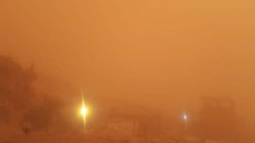 السما صفرا.. عاصفة ترابية وأمطار متقطعة تضرب أسيوط