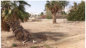 حملات نظافة مكثفة بحي شمال الغردقة للارتقاء بالمظهر الحضاري للمدينة حملات نظافة مكثفة بحي شمال الغردقة للارتقاء بالمظهر الحضاري للمدينة