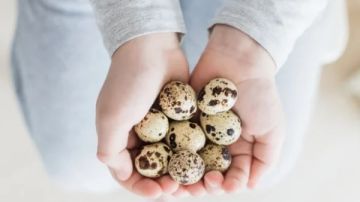 ماذا يحدث ماذا يحدث لجسمك عند تناول بيض السمان فى السحور؟