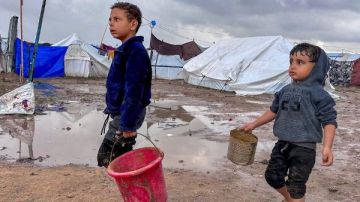 موقف مصري حاسم ضد انتهاكات الاحتلال.. وخبير: ممارسات الاحتلال في الأراضي الفلسطينية انتهاك صارخ للقانون الدولي