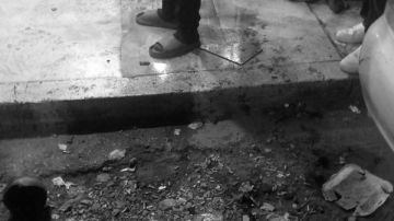 تحرك أمني سريع وحاسم.. ضبط المتهمين بالاعتداء على شابين بأسلحة بيضاء في بورسعيد