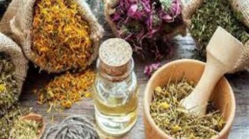 عند العطارين.. عشبة تقوي المناعة وتقلل تكرار نزلات البرد والإنفلونزا