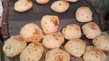 المنوفية: تحرير 109محاضر تموينية متنوعة خلال إجازة عيد الفطر المنوفية: تحرير 109محاضر تموينية متنوعة خلال إجازة عيد الفطر