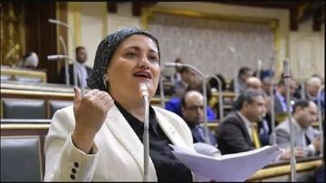 سناء السعيد: الفقر يرتفع.. والمركزي لم يصدر الاحصائيات من 2019 فيديو