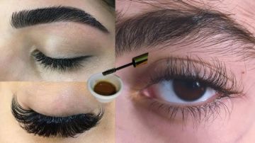 عشبة سرية.. للحصول على حواجب ورموش كثيفة خلال 7 أيام