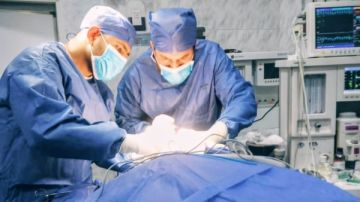 إنقاذ حياة طالبة تعاني من كسر بقاع الجمجمة ونزيف حاد بالمخ سقطت من الطابق الثالث إنقاذ حياة طالبة تعاني من كسر بقاع الجمجمة ونزيف حاد بالمخ سقطت من الطابق الثالث