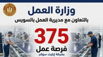 العمل: توفير 375 فرصة عمل في السويس