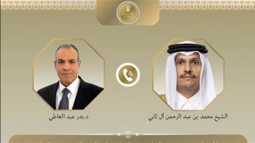 وزير الخارجية يؤكد تضامن مصر الكامل مع دولة قطر وأشقائها في منطقة الخليج العربي