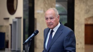 محطة تاريخية مهمة.. أبو الغيط مرحبا باعتماد الدستور الصومالي ودخوله حيز النفاذ