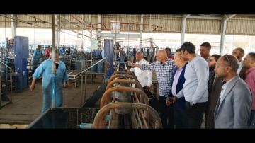 بتكليفات محافظ أسوان.. لجنة لتفقد مصنع تعبئة أسطوانات البوتاجاز بـ سلوا بتكليفات محافظ أسوان.. لجنة لتفقد مصنع تعبئة أسطوانات البوتاجاز بـ سلوا