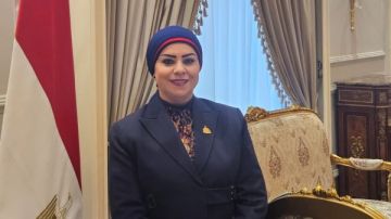 نائبة: زيارة الرئيس للخليج تعكس تضامنا مباشرا ورسائل طمأنة في توقيت حرج