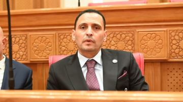 نائب: اتصالات وزير الخارجية مع دول الخليج والأردن والعراق رسالة طمأنينة للمغتربين