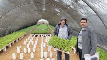  الزراعة تكثف جولاتها الميدانية لدعم مزارعي الخضر والفاكهة بـ الجيزة والبحيرة والنوبارية 