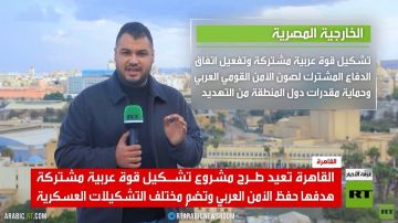 القاهرة.. قوة عربية مشتركة لحفظ الأمن القاهرة.. قوة عربية مشتركة لحفظ الأمن