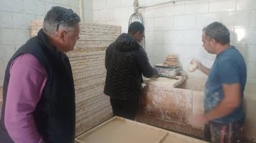 تحرير 23 محضر مخالفات ضد أصحاب مخابز بلدية وسياحية بالغربية