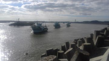 تحسن الأحوال الجوية.. استئناف الصيد والملاحة في كفر الشيخ تحسن الأحوال الجوية.. استئناف الصيد والملاحة في كفر الشيخ