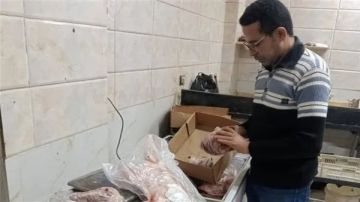 ضبط لحوم غير صالحة للاستهلاك الآدمي خلال حملة بالوادي الجديد ضبط لحوم غير صالحة للاستهلاك الآدمي خلال حملة بالوادي الجديد