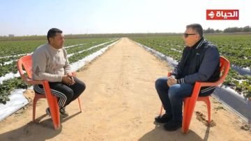 قصة كفاح ملهمة.. خرج من بلده لاستصلاح الأرض الصحراوية فأصبح لديه 17 فدانا ويصدر المحصول