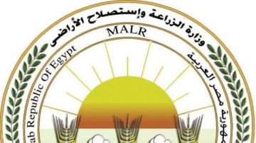 إزالة 384 حالة تعد على الأراضي خلال إجازة عيد الفطر.. وهذه عقوبة الجريمة