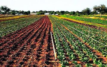 رغم نمو الإيرادات.. أرباح نهر الخير تتراجع 13 خلال 2025