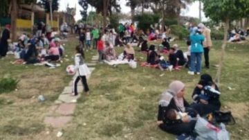 إقبال متوسط على الحديقة الدولية في ثاني أيام العيد وسط أجواء معتدلة إقبال متوسط على الحديقة الدولية في ثاني أيام العيد وسط أجواء معتدلة