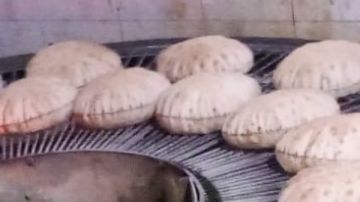 تحرير 195 محضرا تموينيا خلال حملة مكبرة بكفر الشيخ