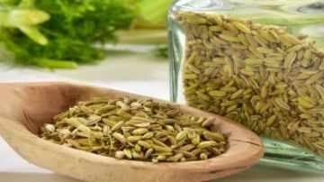 فوائد الشمر عند تناوله يوميا.. وهذا ما يحدث للنساء