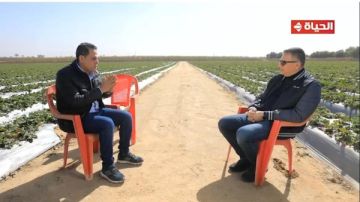 بدأ بفدان وأصبح يمتلك 90 فدانا.. قصة كفاح ملهمة لمزارع في أجمل ناس بدأ بفدان وأصبح يمتلك 90 فدانا.. قصة كفاح ملهمة لمزارع في أجمل ناس