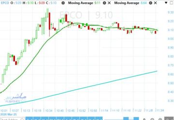 سهم المصرية للدواجن يحقق اختراقا يدعم استمرار الزخم الإيجابي