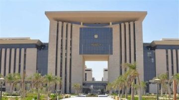 قرار حكومي بحرمان المحكوم عليهم في قضايا النفقة من بعض الخدمات لحين السداد قرار حكومي بحرمان المحكوم عليهم في قضايا النفقة من بعض الخدمات لحين السداد