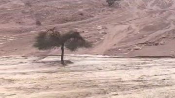  إلزموا منازلكم .. الأرصاد تحذر من سيول تضرب 10 محافظات وانخفاض درجات الحرارة غدا