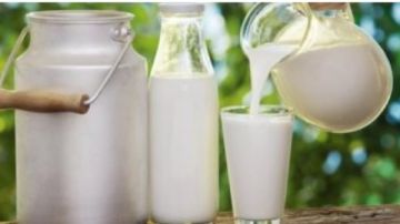 4 أنواع الحليب من الأفضل إلى الأسوأ للتحكم في السكر في الدم..تفاصيل 4 أنواع الحليب من الأفضل إلى الأسوأ للتحكم في السكر في الدم..تفاصيل