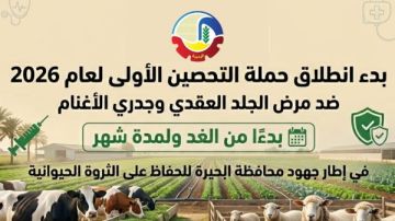 غدا.. انطلاق حملة التحصين الأولى ضد مرض الجلد العقدي وجدري الأغنام بالبحيرة