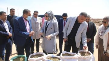 موجز أخبار الوادي الجديد.. المحافظ تتفقد مشروعا زراعيا لإنتاج للبطاطس والقمح والنباتات العطرية وتجهيزات مركز التأهيل الاجتماعي بالداخلة