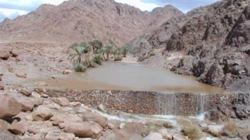 وزير الري: السيطرة على سيول سانت كاترين بسدود وبحيرات جبلية ومتابعة 24 ساعة وزير الري: السيطرة على سيول سانت كاترين بسدود وبحيرات جبلية ومتابعة 24 ساعة