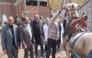 محافظ الدقهلية يتابع جهود مديرية الطب البيطري في تسيير قوافل بيطرية - eg