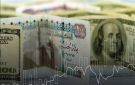 توقعات بتثبيت أو رفع أسعار الفائدة للحد من ارتفاع الدولار مقابل الجنيه عاجل