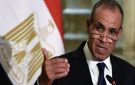وزير الخارجية : مصر تواصل دورها وجهودها حتى تتوقف الاعتداءات على الدول الشقيقة