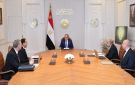 الرئيس السيسي: الطاقة أحد الركائز الأساسية للأمن القومي المصري - eg