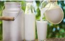 4 أنواع الحليب من الأفضل إلى الأسوأ للتحكم في السكر في الدم..تفاصيل