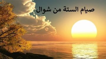 هل يجب تبيت النية فى صيام الست من شوال؟ .. الإفتاء تجيب هل يجب تبيت النية فى صيام الست من شوال؟ .. الإفتاء تجيب
