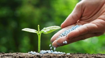 بعد اقترابها من 28 ألف للطن.. نقيب الفلاحين: ارتفاع أسعار الأسمدة يضغط على المزارعين