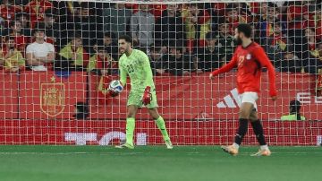 عفت نصار: شوبير حارس جيد لكن الشناوي سيحرس عرين المنتخب في المونديال