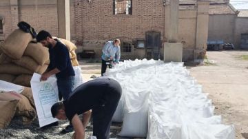 قبل موسم الزراعة.. 15 ألف شيكارة تقاوي قطن جاهزة للتسليم للمزارعين قبل موسم الزراعة.. 15 ألف شيكارة تقاوي قطن جاهزة للتسليم للمزارعين