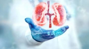 طرق الوقاية من حصوات الكلى طرق الوقاية من حصوات الكلى